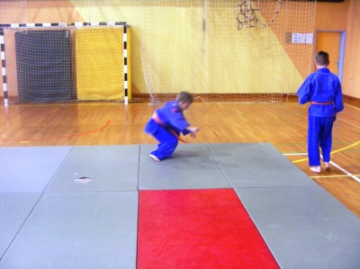 Mini olimpijada 2013