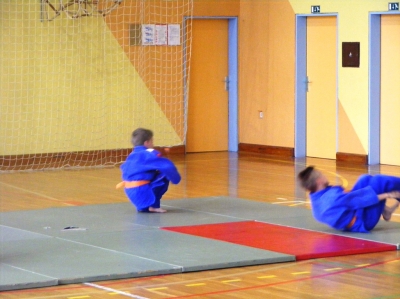 Mini olimpijada 2013