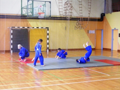 Mini olimpijada 2013