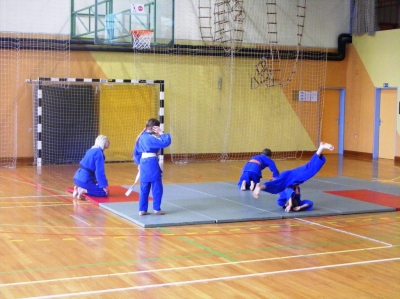 Mini olimpijada 2013