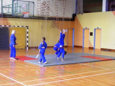 Mini olimpijada 2013