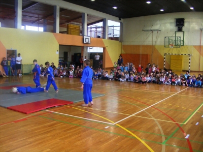 Mini olimpijada 2013