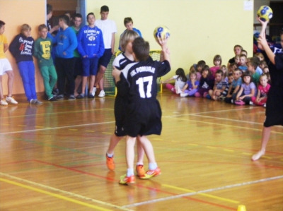 Mini olimpijada 2013