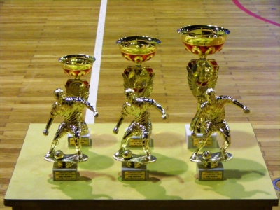 Zimska liga 2011, 2012