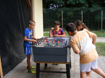 Športne delavnice za otroke 2014
