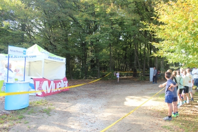 Beltinski tek 2014
