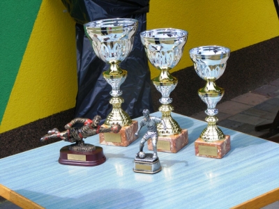 Turnir v Lipi