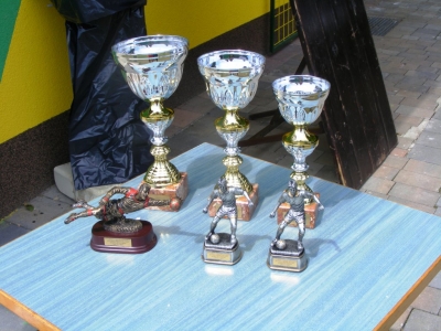 Turnir v Lipi